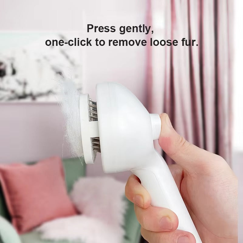 2-in-1 Steam & Groom Brush for Pets