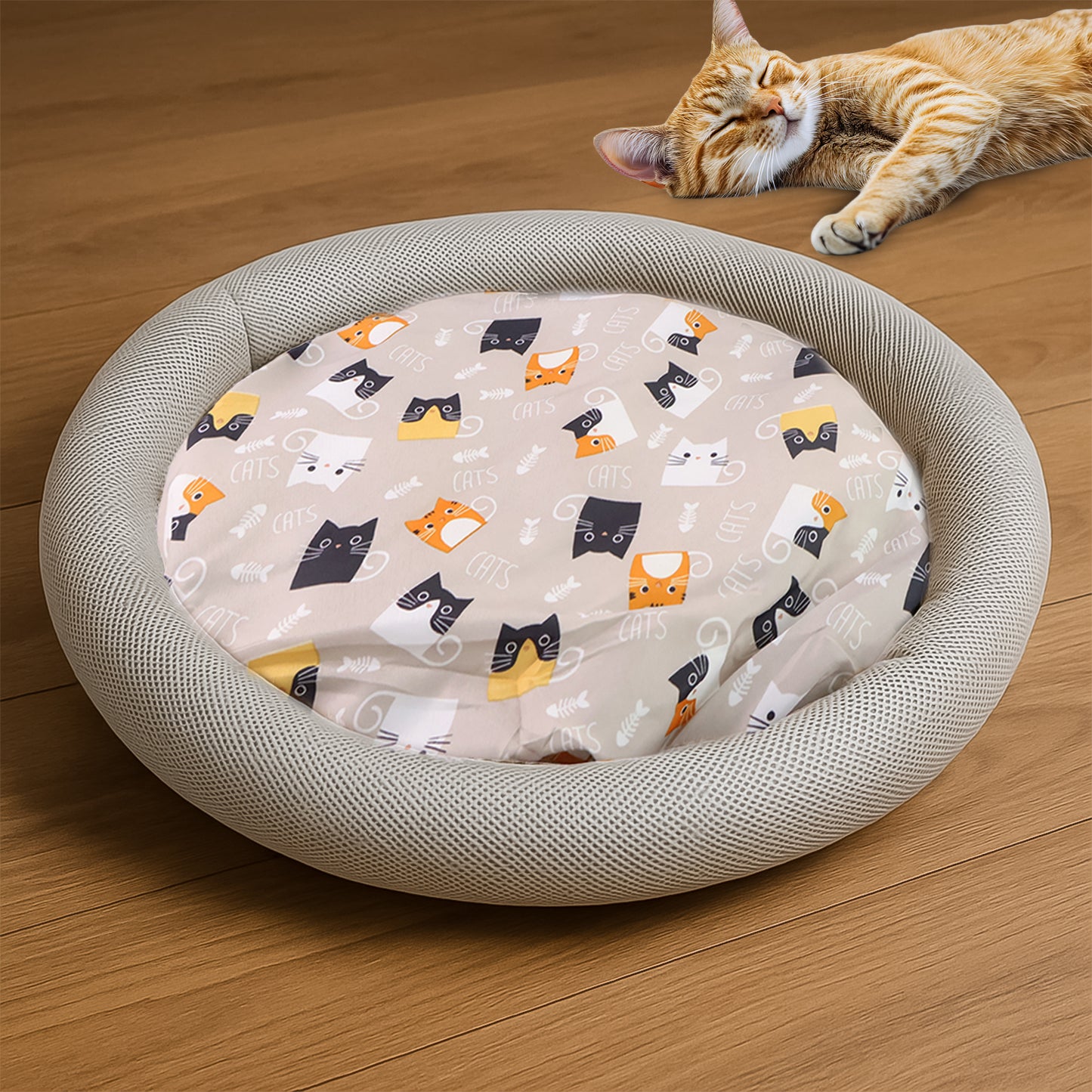 Round Soft Plush Cat Bed With Cartoon Cat Print Cushion  🐱